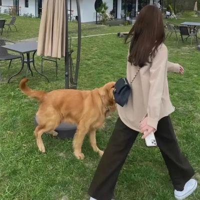 自由机器